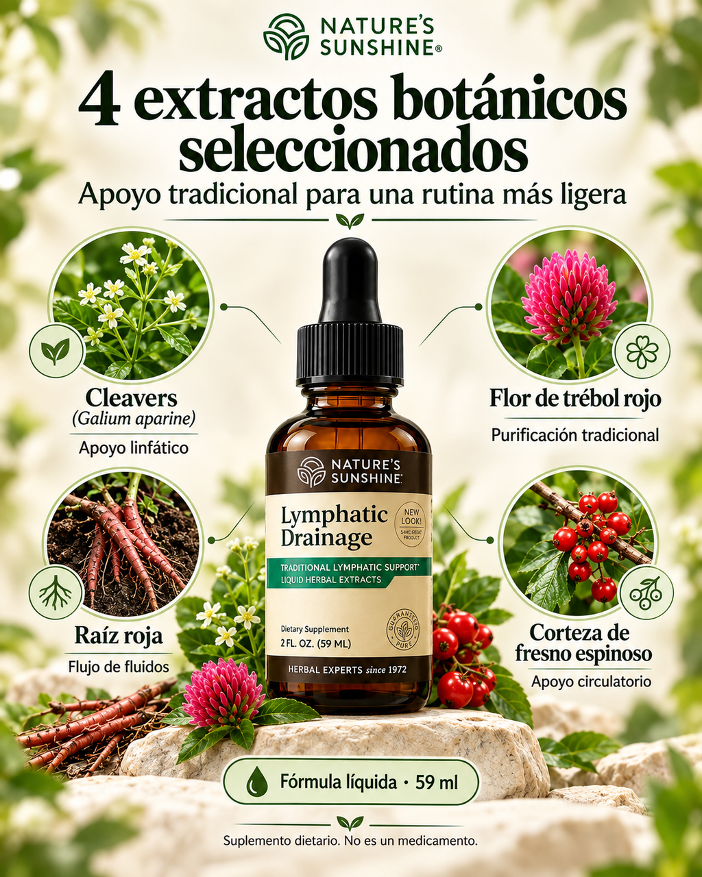 Lymphatic Drainage - Drenaje Linfatico