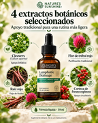 Lymphatic Drainage - Drenaje Linfatico