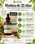 Lymphatic Drainage - Drenaje Linfatico