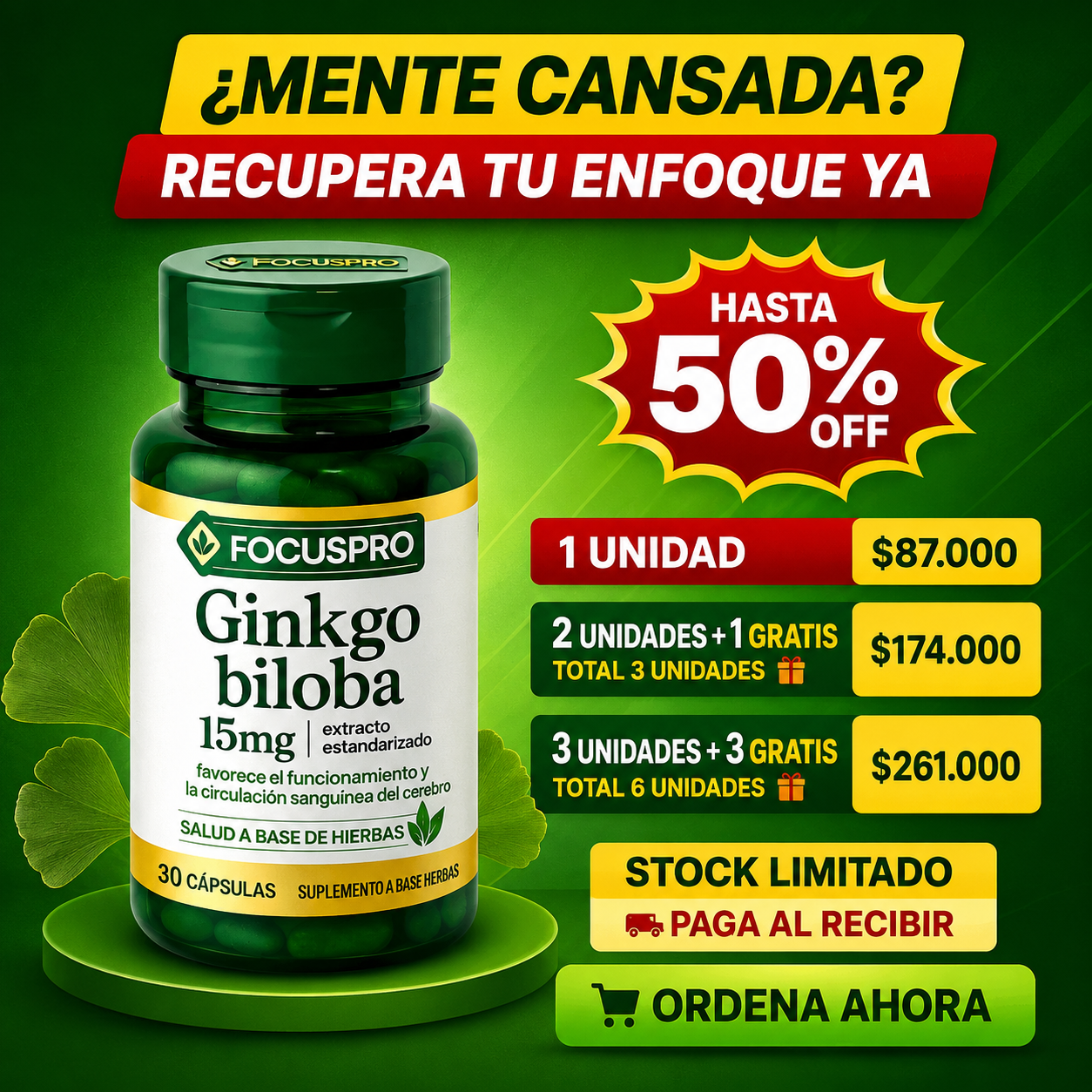 Ginkgo Biloba - Focus PRO